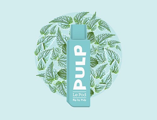 Menthe Polaire